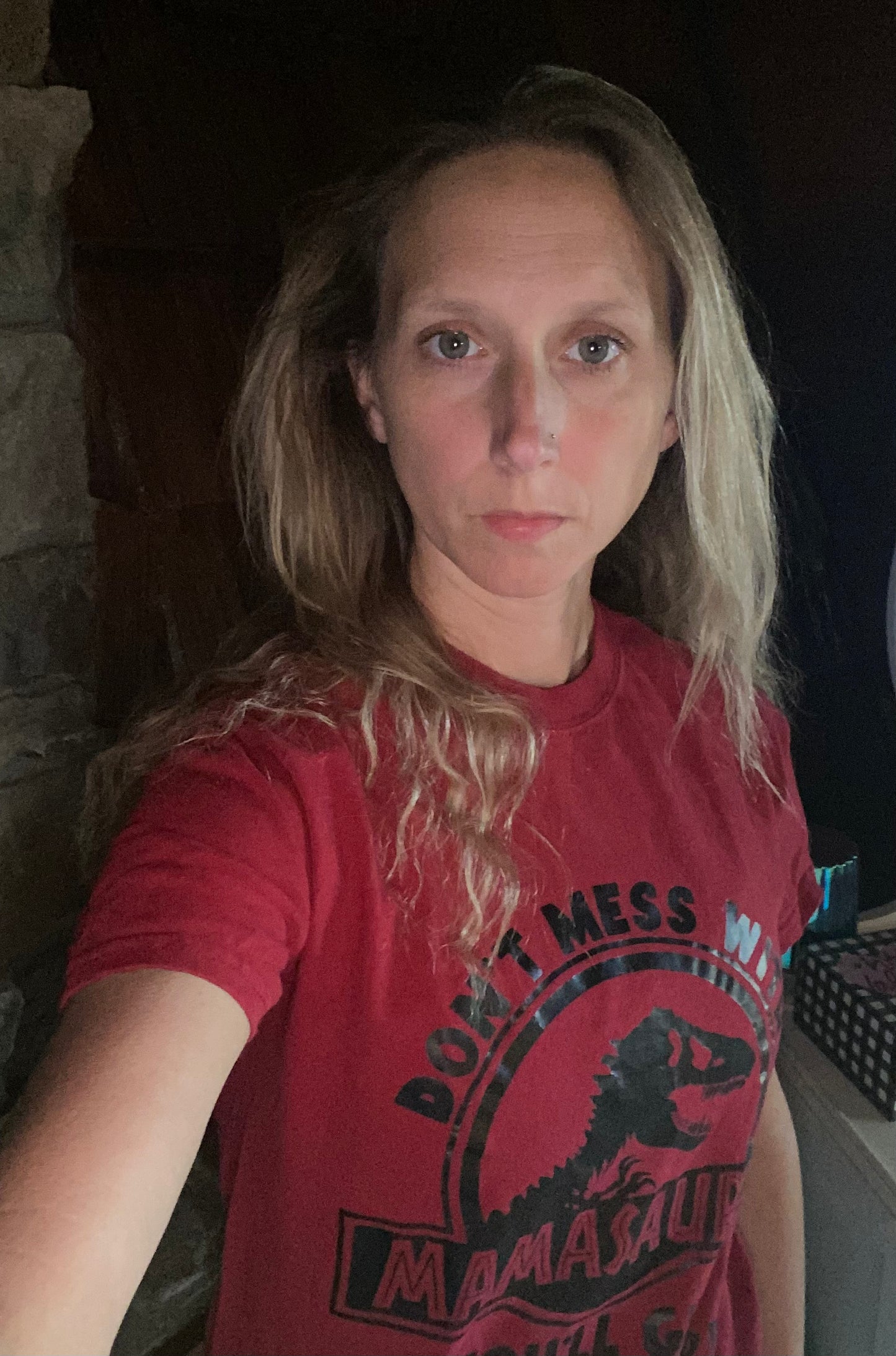 Mamasaurus Jurassic Park Mom life t-shirt