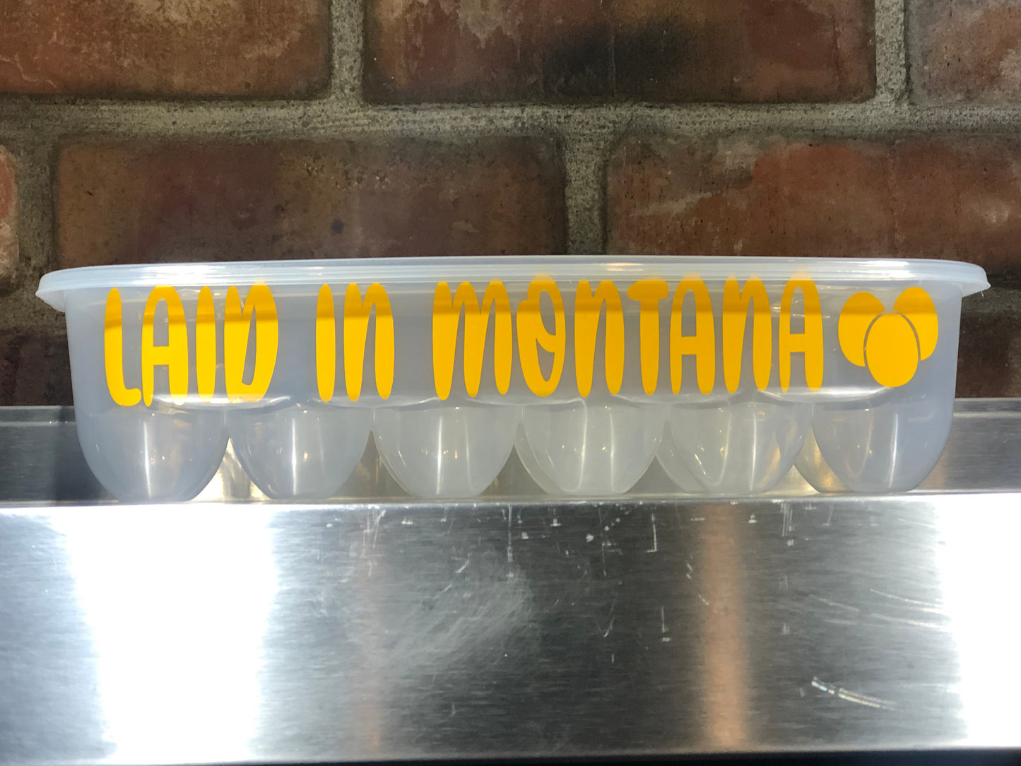 Laid in Montana egg container